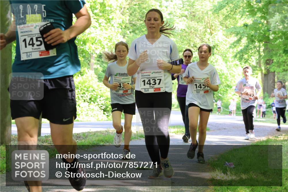 17.05.2025 - Störlauf Strokosch-Dieckow http://msf.ph/oto/7857271 17.05.2025 14:46:28 Laufen 2025, 203, 145, 2025, 1437, 145, 047 meine-sportfotos.de