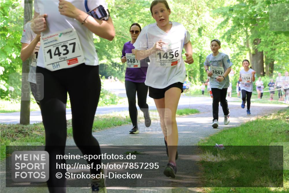 17.05.2025 - Störlauf Strokosch-Dieckow http://msf.ph/oto/7857295 17.05.2025 14:46:29 Laufen 2025, 1437, 1481, 2025, 1456, 1047, 1414 meine-sportfotos.de