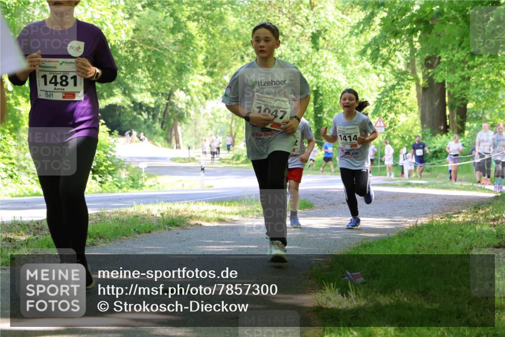 17.05.2025 - Störlauf Strokosch-Dieckow http://msf.ph/oto/7857300 17.05.2025 14:46:31 Laufen 2025, 1481, 1047, 1414 meine-sportfotos.de