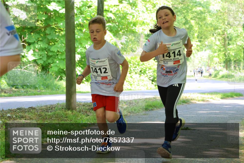 17.05.2025 - Störlauf Strokosch-Dieckow http://msf.ph/oto/7857337 17.05.2025 14:46:34 Laufen 2025, 1412, 2025, 414 meine-sportfotos.de
