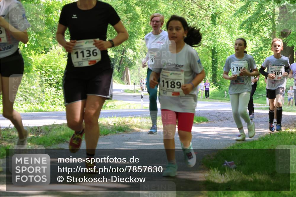 17.05.2025 - Störlauf Strokosch-Dieckow http://msf.ph/oto/7857630 17.05.2025 14:48:01 Laufen 1136, 16, 1189, 118, 1301 meine-sportfotos.de
