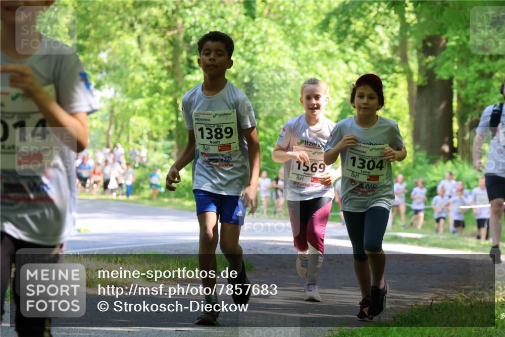 17.05.2025 - Störlauf Strokosch-Dieckow http://msf.ph/oto/7857683 17.05.2025 14:48:15 Laufen 014, 2025, 1389, 1569, 2025, 1304 meine-sportfotos.de
