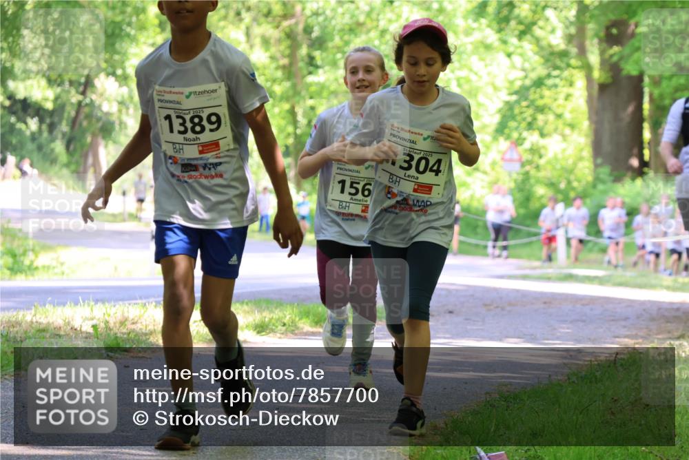17.05.2025 - Störlauf Strokosch-Dieckow http://msf.ph/oto/7857700 17.05.2025 14:48:16 Laufen 2025, 1389, 2025, 156, 2025, 304 meine-sportfotos.de