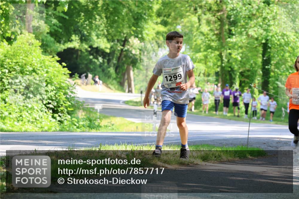 17.05.2025 - Störlauf Strokosch-Dieckow http://msf.ph/oto/7857717 17.05.2025 14:48:31 Laufen 2025, 1299 meine-sportfotos.de