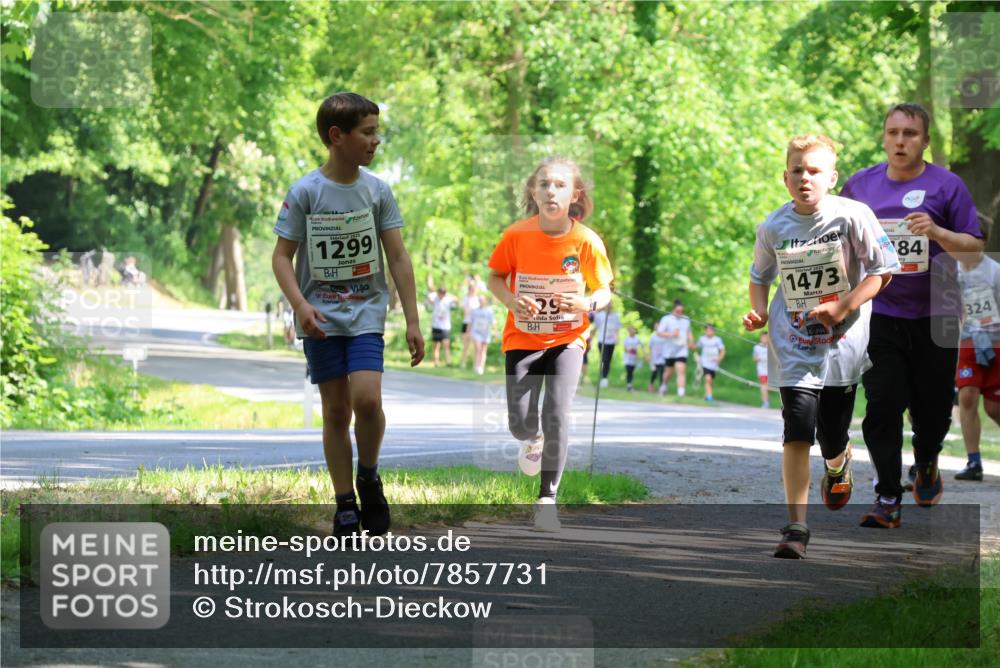 17.05.2025 - Störlauf Strokosch-Dieckow http://msf.ph/oto/7857731 17.05.2025 14:48:32 Laufen 1299, 29, 1473, 84, 324 meine-sportfotos.de