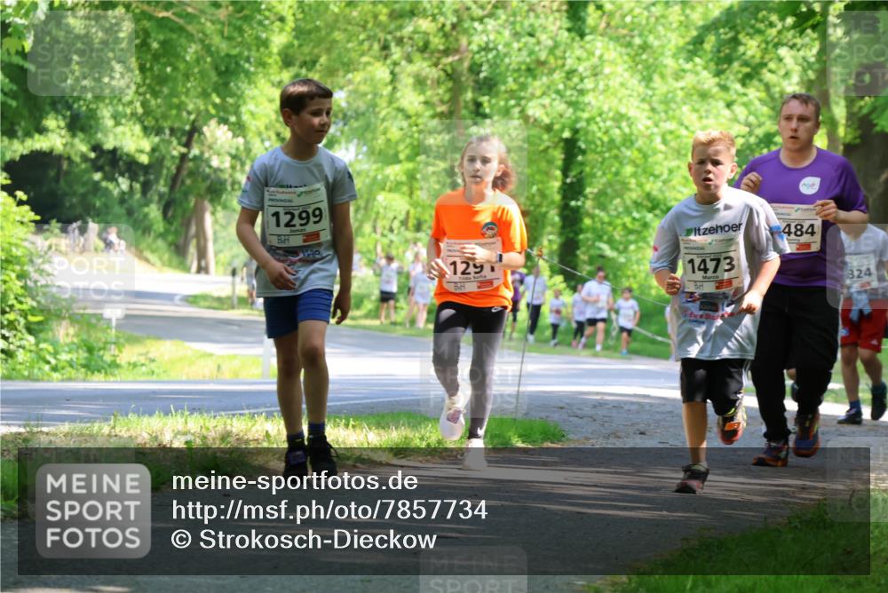 17.05.2025 - Störlauf Strokosch-Dieckow http://msf.ph/oto/7857734 17.05.2025 14:48:32 Laufen 1299, 944, 129, 1473, 484, 324 meine-sportfotos.de