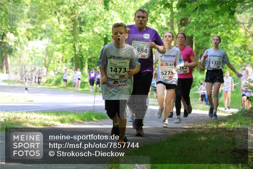 17.05.2025 - Störlauf Strokosch-Dieckow http://msf.ph/oto/7857744 17.05.2025 14:48:34 Laufen 1473, 484, 5275, 262, 1322, 1491 meine-sportfotos.de