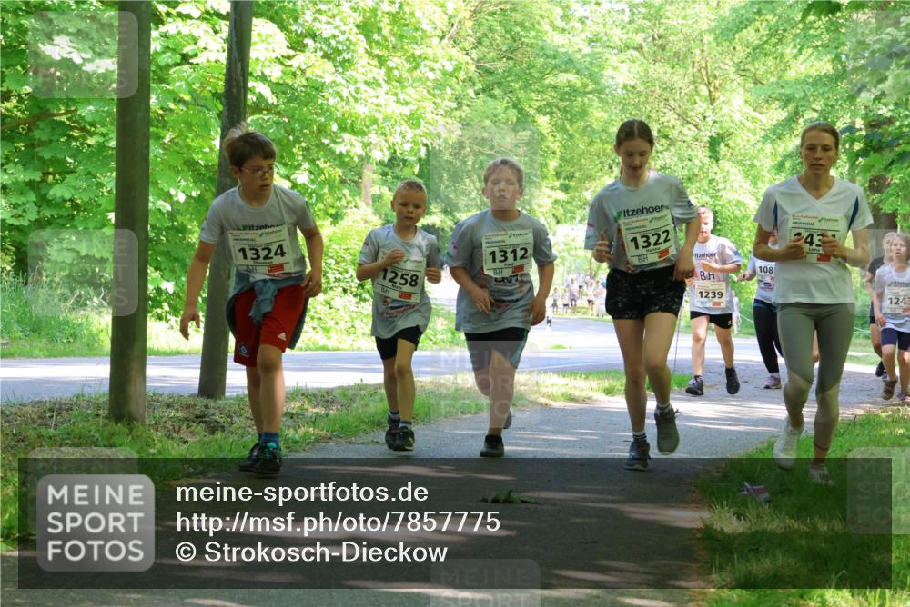 17.05.2025 - Störlauf Strokosch-Dieckow http://msf.ph/oto/7857775 17.05.2025 14:48:43 Laufen 1324, 1258, 1312, 1322, 1239, 108, 43, 1243 meine-sportfotos.de