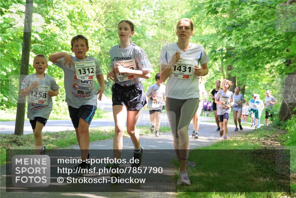 17.05.2025 - Störlauf Strokosch-Dieckow http://msf.ph/oto/7857790 17.05.2025 14:48:44 Laufen 1258, 1312, 1239, 1431, 43, 1404 meine-sportfotos.de