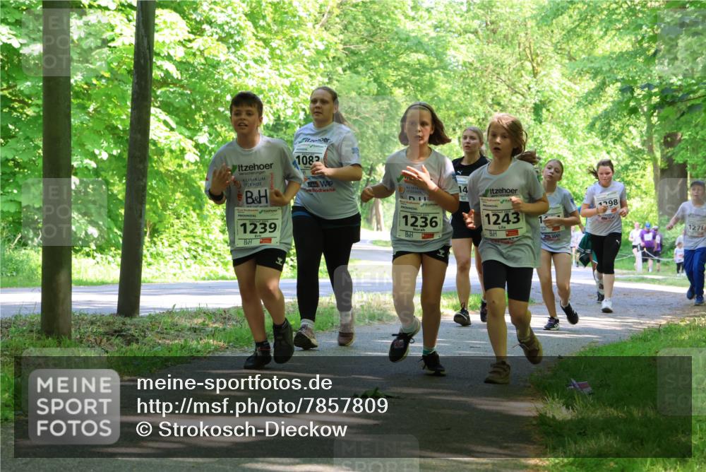 17.05.2025 - Störlauf Strokosch-Dieckow http://msf.ph/oto/7857809 17.05.2025 14:48:48 Laufen 1239, 1082, 1236, 14, 1243, 198, 127 meine-sportfotos.de