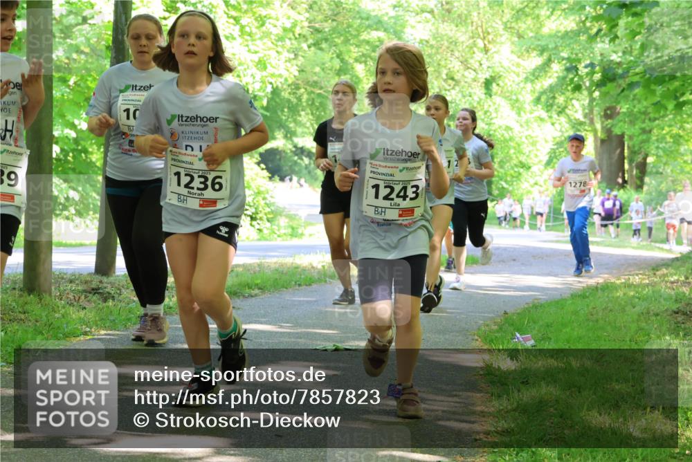 17.05.2025 - Störlauf Strokosch-Dieckow http://msf.ph/oto/7857823 17.05.2025 14:48:50 Laufen 2025, 39, 10, 2025, 1236, 2025, 1243, 1278 meine-sportfotos.de