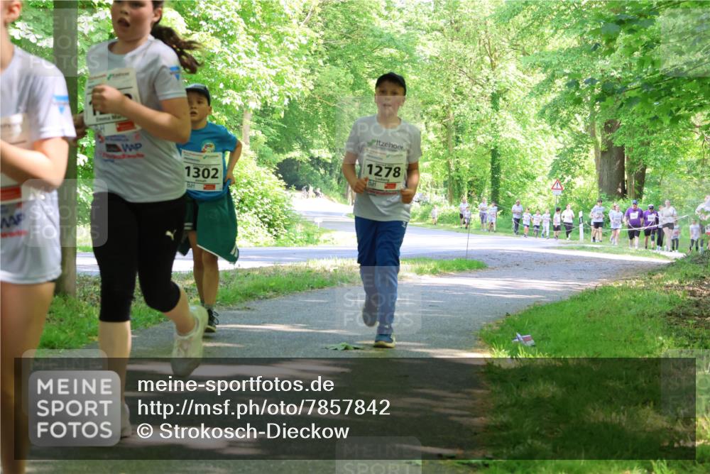 17.05.2025 - Störlauf Strokosch-Dieckow http://msf.ph/oto/7857842 17.05.2025 14:48:54 Laufen 1302, 1278 meine-sportfotos.de