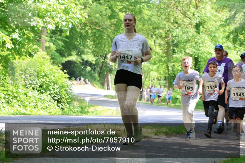 17.05.2025 - Störlauf Strokosch-Dieckow http://msf.ph/oto/7857910 17.05.2025 14:49:18 Laufen 2025, 1447, 485, 1193, 1346, 1345 meine-sportfotos.de