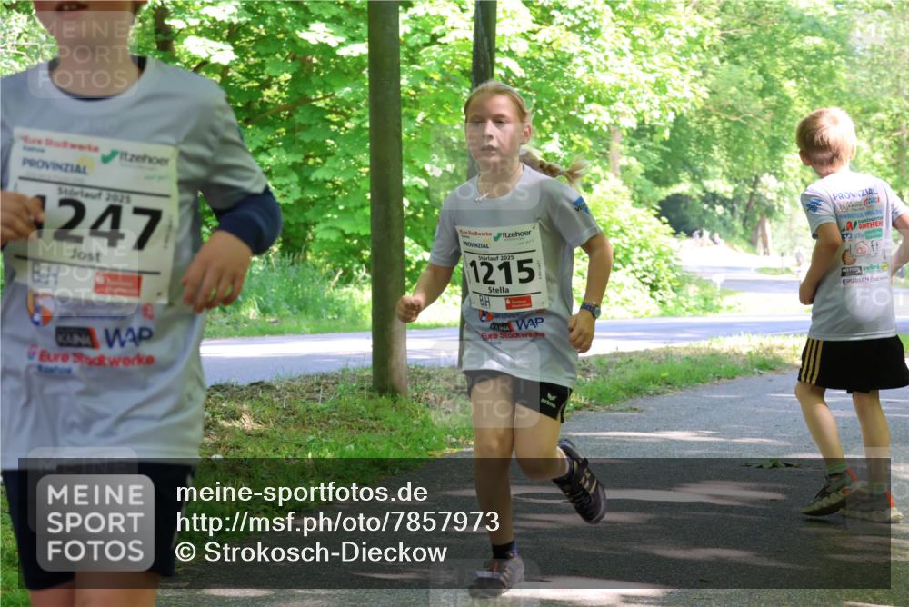 17.05.2025 - Störlauf Strokosch-Dieckow http://msf.ph/oto/7857973 17.05.2025 14:49:32 Laufen 2025, 247, 2025, 1215 meine-sportfotos.de