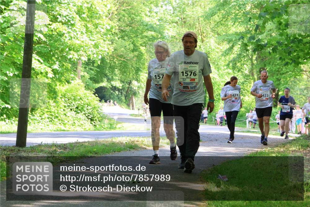 17.05.2025 - Störlauf Strokosch-Dieckow http://msf.ph/oto/7857989 17.05.2025 14:49:43 Laufen 157, 1576, 421, 422, 1057 meine-sportfotos.de