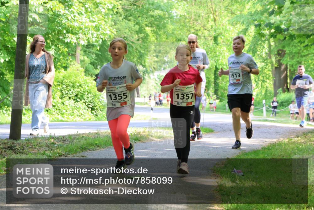 17.05.2025 - Störlauf Strokosch-Dieckow http://msf.ph/oto/7858099 17.05.2025 14:50:17 Laufen 1355, 27, 02, 2025, 1357, 1513, 108 meine-sportfotos.de