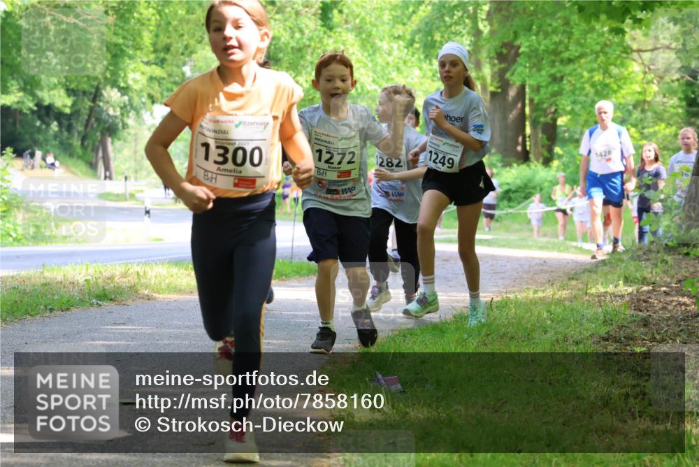 17.05.2025 - Störlauf Strokosch-Dieckow http://msf.ph/oto/7858160 17.05.2025 14:50:33 Laufen 2025, 1300, 2025, 1282, 1249, 1428 meine-sportfotos.de