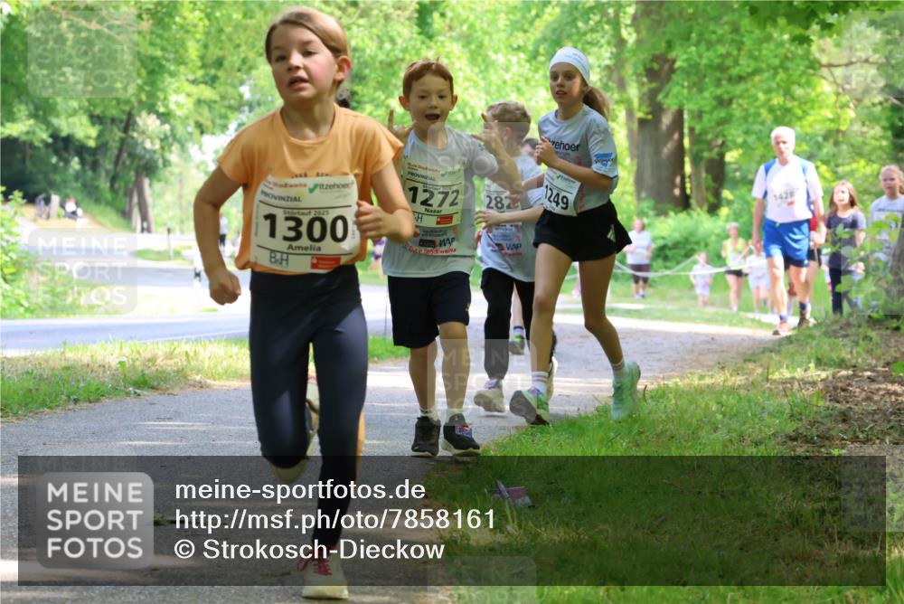 17.05.2025 - Störlauf Strokosch-Dieckow http://msf.ph/oto/7858161 17.05.2025 14:50:33 Laufen 2025, 1300, 2025, 1272, 282, 1249, 1428 meine-sportfotos.de