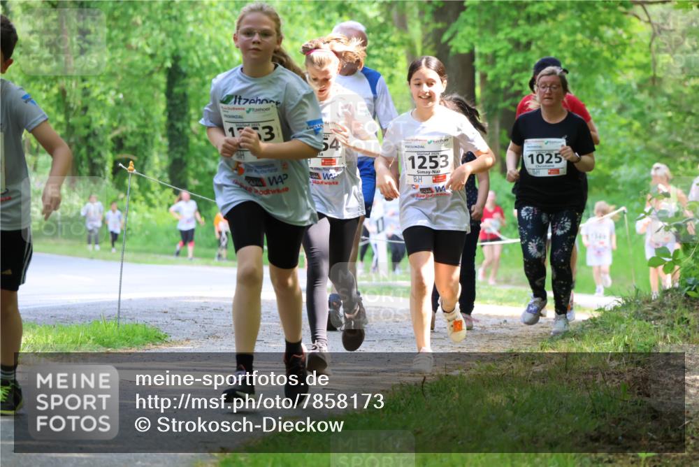 17.05.2025 - Störlauf Strokosch-Dieckow http://msf.ph/oto/7858173 17.05.2025 14:50:39 Laufen 13, 54, 2025, 1253, 1025 meine-sportfotos.de