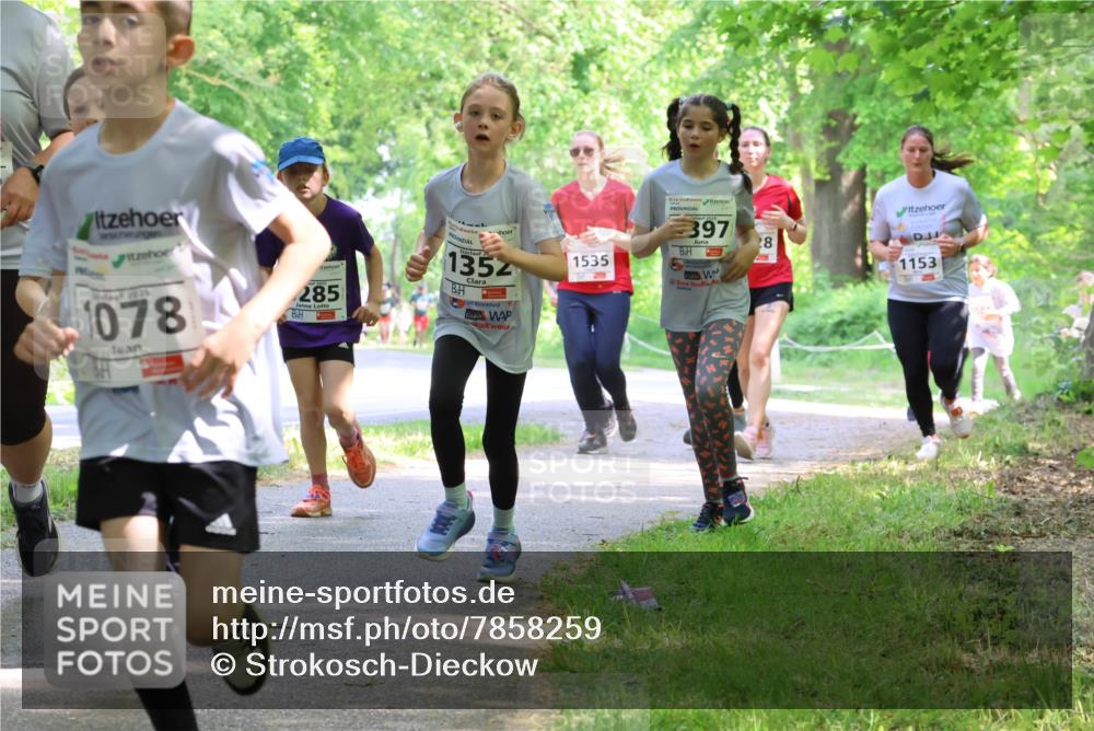 17.05.2025 - Störlauf Strokosch-Dieckow http://msf.ph/oto/7858259 17.05.2025 14:51:05 Laufen 1352, 2025, 1078, 285, 1535, 397, 28, 1153 meine-sportfotos.de