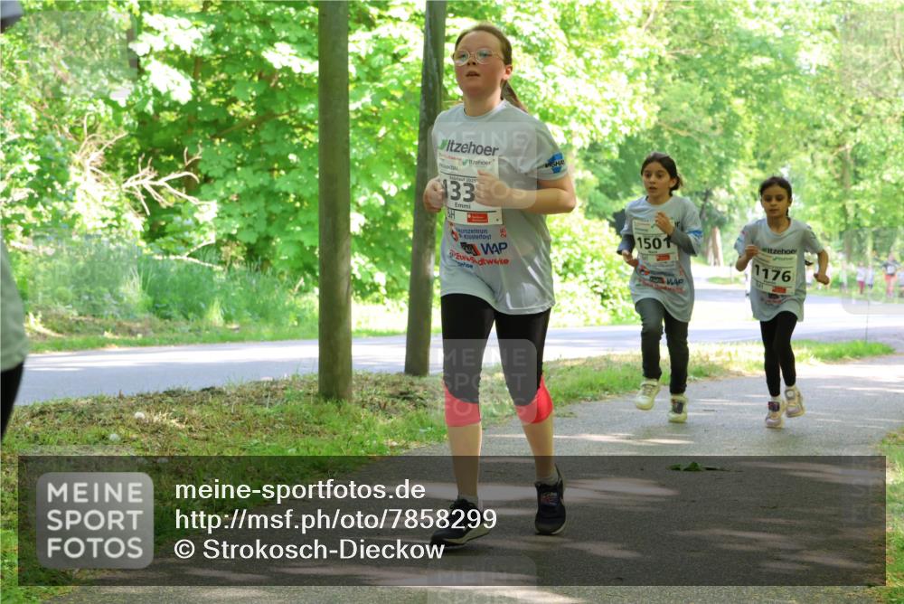 17.05.2025 - Störlauf Strokosch-Dieckow http://msf.ph/oto/7858299 17.05.2025 14:51:15 Laufen 2025, 133, 1176, 1501 meine-sportfotos.de