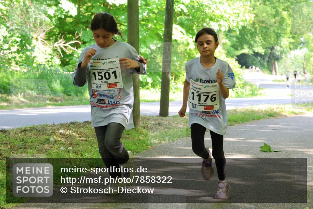17.05.2025 - Störlauf Strokosch-Dieckow http://msf.ph/oto/7858322 17.05.2025 14:51:17 Laufen 2025, 1501, 2025, 1176 meine-sportfotos.de
