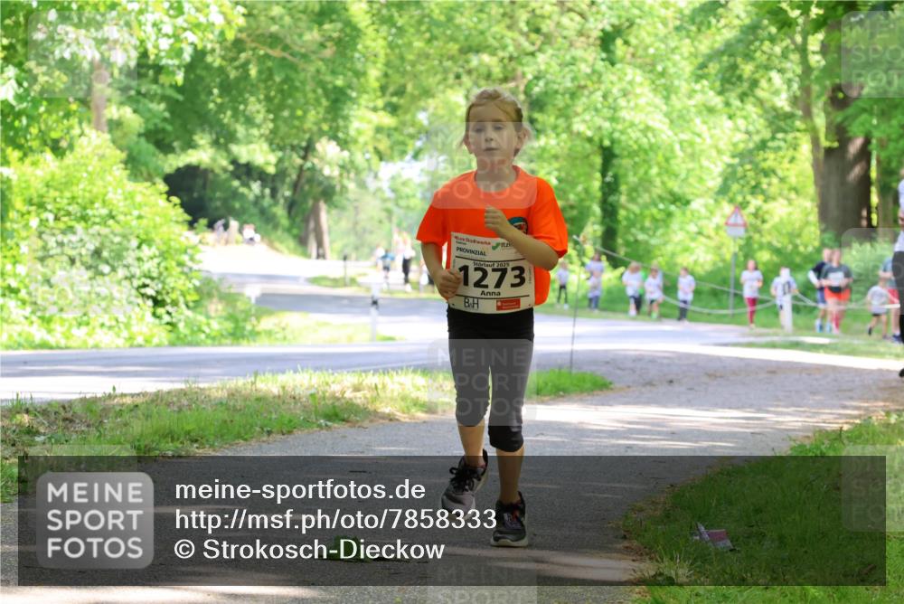 17.05.2025 - Störlauf Strokosch-Dieckow http://msf.ph/oto/7858333 17.05.2025 14:51:25 Laufen 2025, 1273 meine-sportfotos.de
