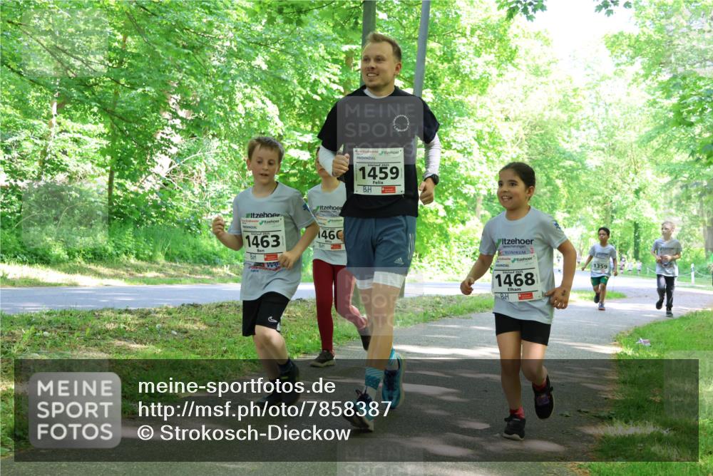 17.05.2025 - Störlauf Strokosch-Dieckow http://msf.ph/oto/7858387 17.05.2025 14:51:59 Laufen 1463, 1466, 2025, 1459, 5, 2025, 1468, 1359 meine-sportfotos.de