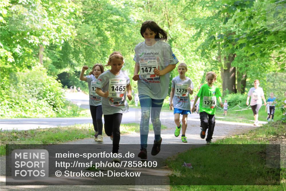 17.05.2025 - Störlauf Strokosch-Dieckow http://msf.ph/oto/7858409 17.05.2025 14:52:08 Laufen 17, 1465, 2025, 1477, 1279, 1274 meine-sportfotos.de