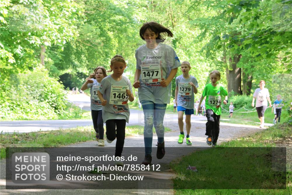 17.05.2025 - Störlauf Strokosch-Dieckow http://msf.ph/oto/7858412 17.05.2025 14:52:08 Laufen 2025, 1477, 1279, 1, 2025, 1465, 155, 1274 meine-sportfotos.de