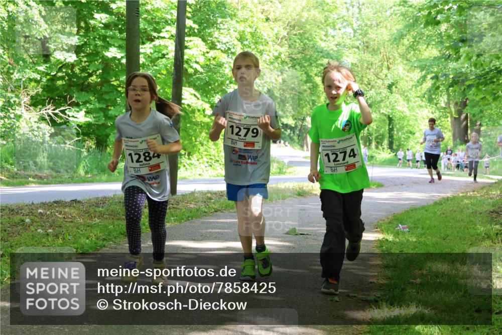 17.05.2025 - Störlauf Strokosch-Dieckow http://msf.ph/oto/7858425 17.05.2025 14:52:12 Laufen 2025, 1284, 2025, 1279, 3, 1274, 1554, 1563 meine-sportfotos.de