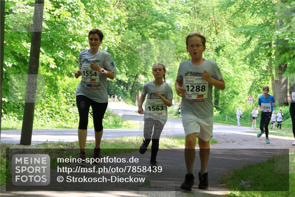 17.05.2025 - Störlauf Strokosch-Dieckow http://msf.ph/oto/7858439 17.05.2025 14:52:18 Laufen 1554, 1563, 2025, 1288, 1295 meine-sportfotos.de