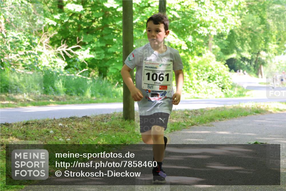 17.05.2025 - Störlauf Strokosch-Dieckow http://msf.ph/oto/7858460 17.05.2025 14:52:29 Laufen 2025, 1061 meine-sportfotos.de