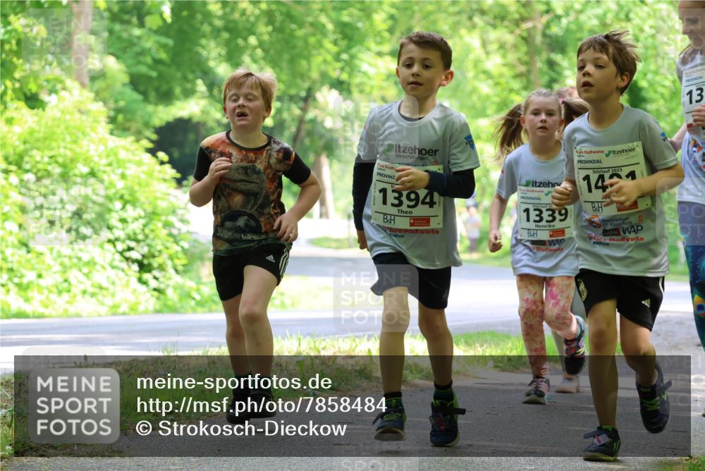 17.05.2025 - Störlauf Strokosch-Dieckow http://msf.ph/oto/7858484 17.05.2025 14:52:37 Laufen 1394, 20, 1339, 2025, 14, 13 meine-sportfotos.de