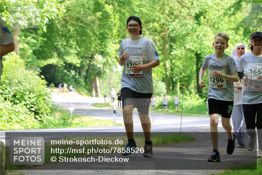 17.05.2025 - Störlauf Strokosch-Dieckow http://msf.ph/oto/7858526 17.05.2025 14:52:48 Laufen 13, 2025, 165, 1296 meine-sportfotos.de