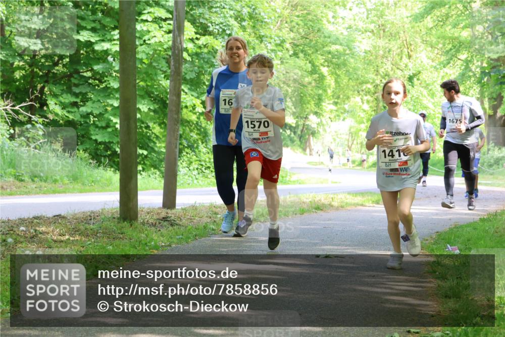 17.05.2025 - Störlauf Strokosch-Dieckow http://msf.ph/oto/7858856 17.05.2025 14:55:40 Laufen 16, 1570, 141, 1675 meine-sportfotos.de