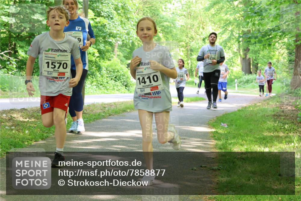 17.05.2025 - Störlauf Strokosch-Dieckow http://msf.ph/oto/7858877 17.05.2025 14:55:41 Laufen 9, 2025, 1570, 2025, 1410, 266, 1675, 39 meine-sportfotos.de