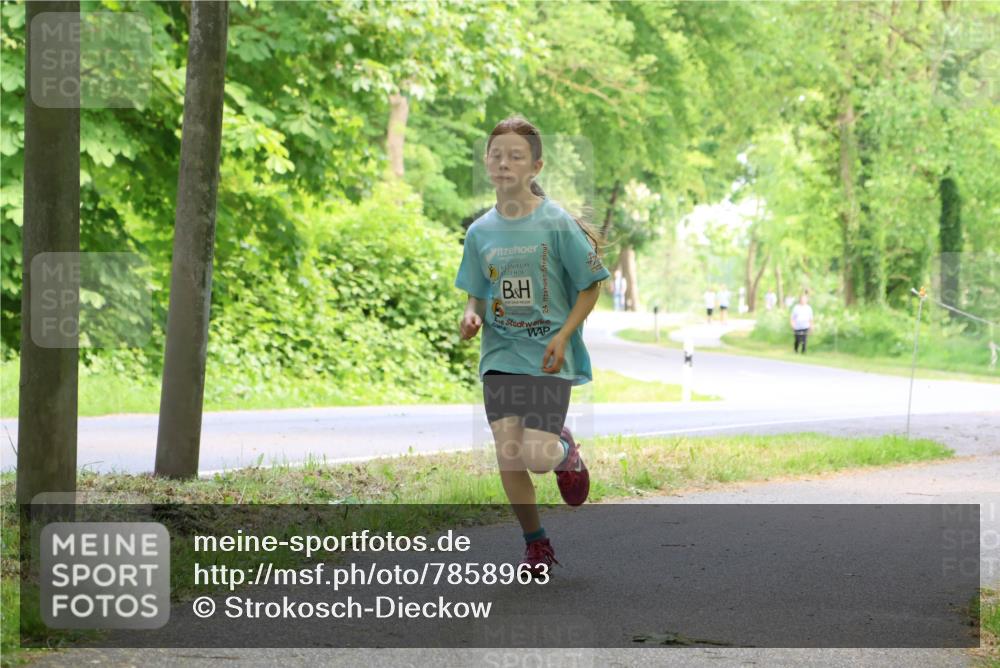 17.05.2025 - Störlauf Strokosch-Dieckow http://msf.ph/oto/7858963 17.05.2025 14:57:12 Laufen  meine-sportfotos.de