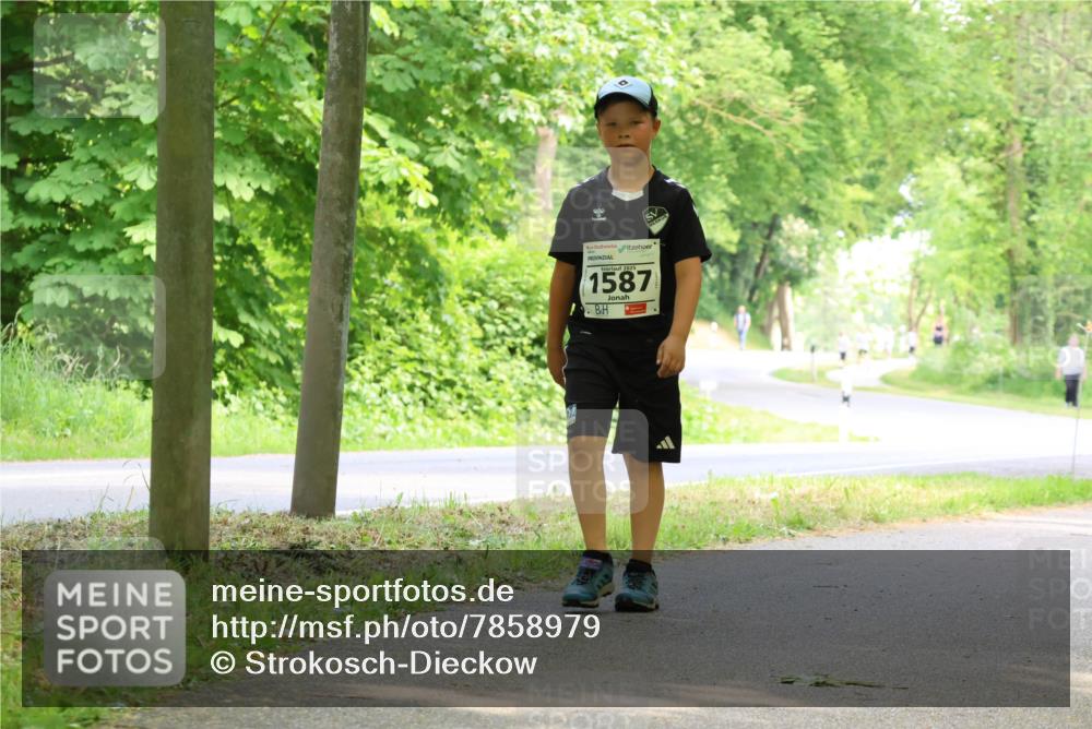 17.05.2025 - Störlauf Strokosch-Dieckow http://msf.ph/oto/7858979 17.05.2025 14:57:19 Laufen 1587 meine-sportfotos.de