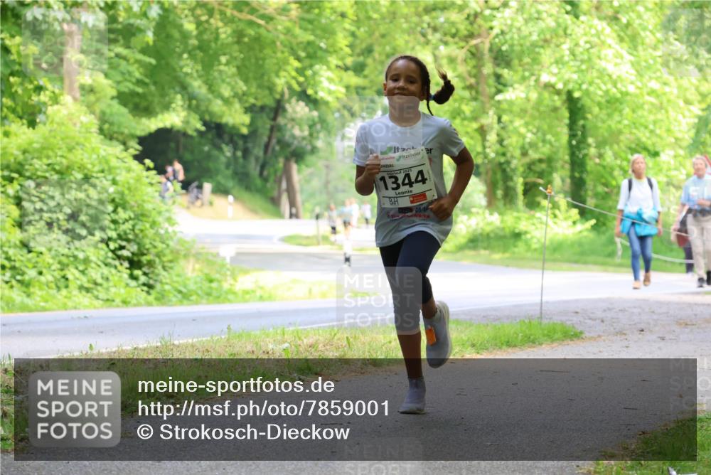 17.05.2025 - Störlauf Strokosch-Dieckow http://msf.ph/oto/7859001 17.05.2025 14:57:29 Laufen 2025, 1344 meine-sportfotos.de