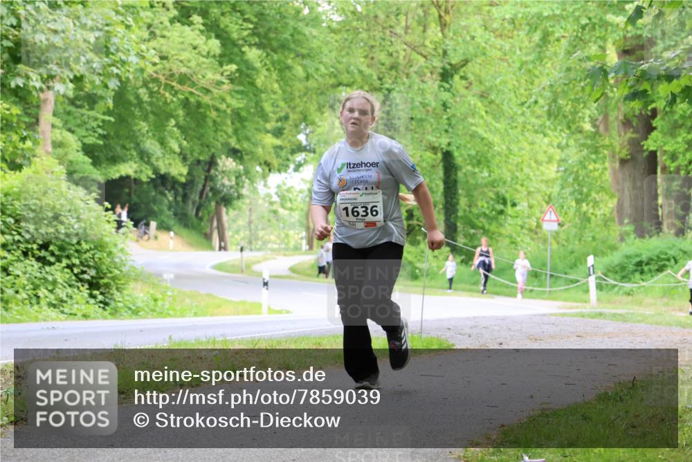 17.05.2025 - Störlauf Strokosch-Dieckow http://msf.ph/oto/7859039 17.05.2025 14:58:05 Laufen 1636 meine-sportfotos.de