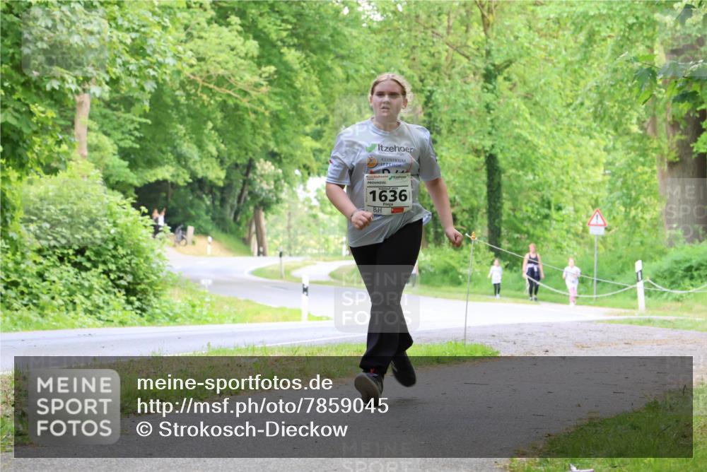 17.05.2025 - Störlauf Strokosch-Dieckow http://msf.ph/oto/7859045 17.05.2025 14:58:06 Laufen 1636 meine-sportfotos.de