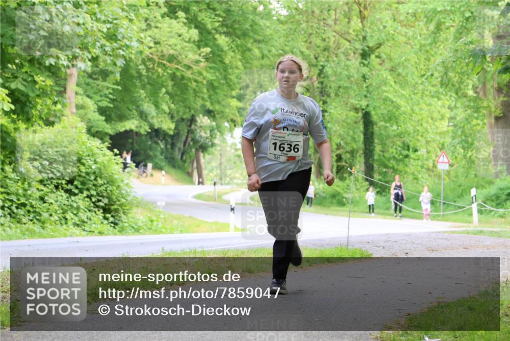 17.05.2025 - Störlauf Strokosch-Dieckow http://msf.ph/oto/7859047 17.05.2025 14:58:06 Laufen 1636 meine-sportfotos.de
