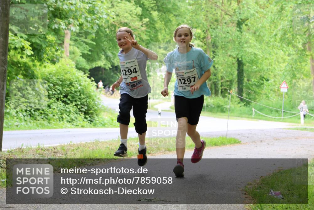 17.05.2025 - Störlauf Strokosch-Dieckow http://msf.ph/oto/7859058 17.05.2025 14:58:31 Laufen 1294, 2025, 1297 meine-sportfotos.de