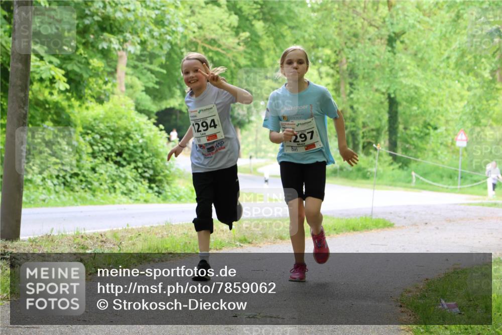 17.05.2025 - Störlauf Strokosch-Dieckow http://msf.ph/oto/7859062 17.05.2025 14:58:31 Laufen 2025, 1294, 297 meine-sportfotos.de