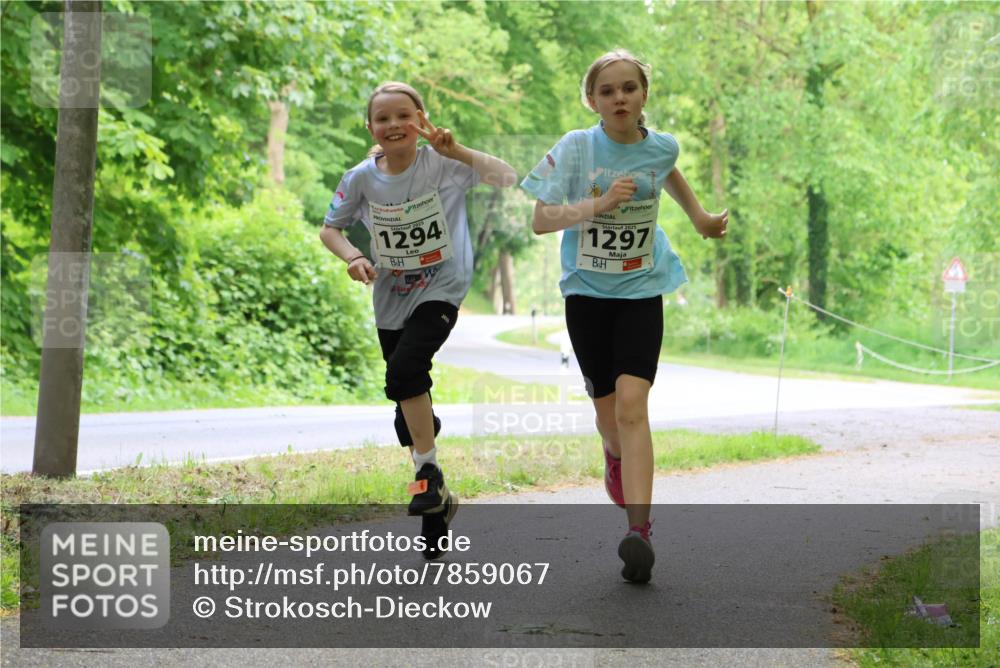 17.05.2025 - Störlauf Strokosch-Dieckow http://msf.ph/oto/7859067 17.05.2025 14:58:31 Laufen 1294, 2025, 1297 meine-sportfotos.de