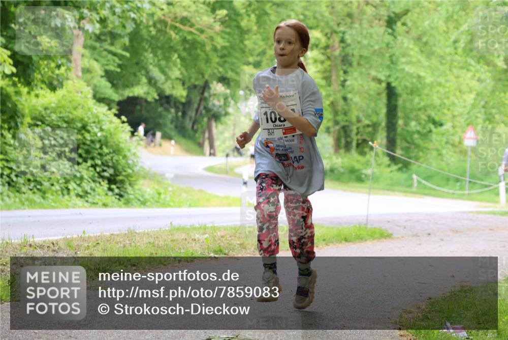 17.05.2025 - Störlauf Strokosch-Dieckow http://msf.ph/oto/7859083 17.05.2025 14:58:41 Laufen 10, 2, 5 meine-sportfotos.de