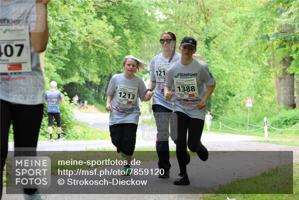 17.05.2025 - Störlauf Strokosch-Dieckow http://msf.ph/oto/7859120 17.05.2025 14:58:56 Laufen 407, 20, 1213, 121, 1388 meine-sportfotos.de