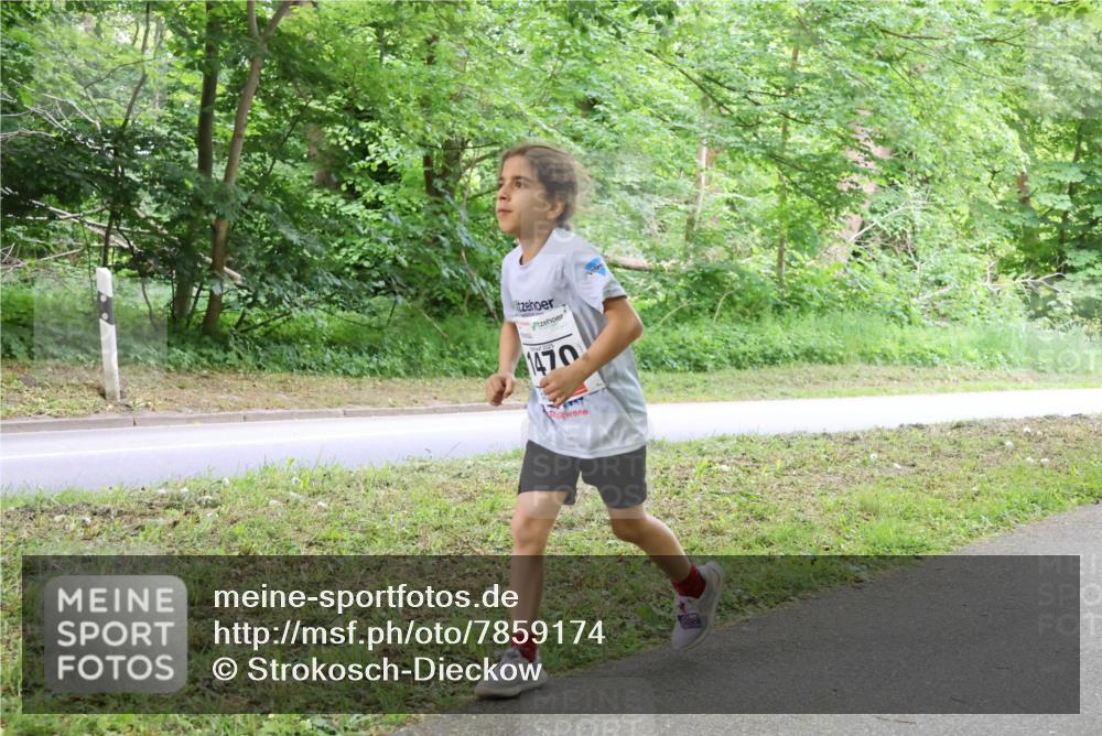 17.05.2025 - Störlauf Strokosch-Dieckow http://msf.ph/oto/7859174 17.05.2025 15:00:12 Laufen 1470 meine-sportfotos.de
