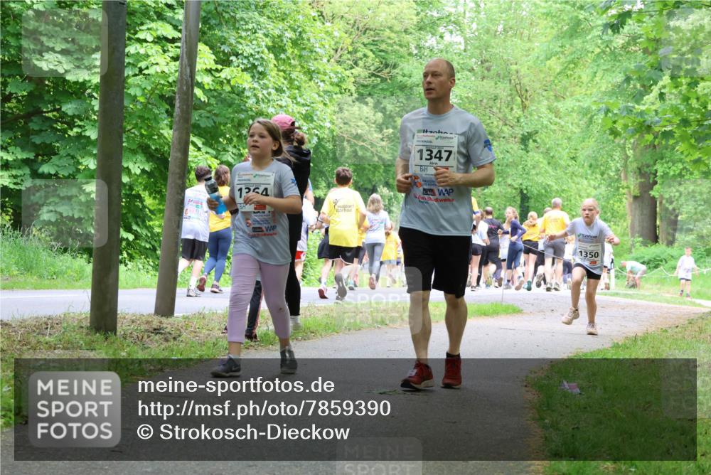 17.05.2025 - Störlauf Strokosch-Dieckow http://msf.ph/oto/7859390 17.05.2025 15:02:32 Laufen 1254, 1347, 1350 meine-sportfotos.de